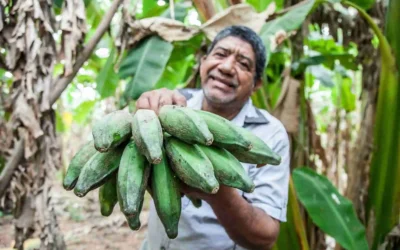 Coût de la vie en Colombie : PVT et voyageurs